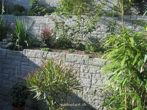 Mauer mit Bepflanzung